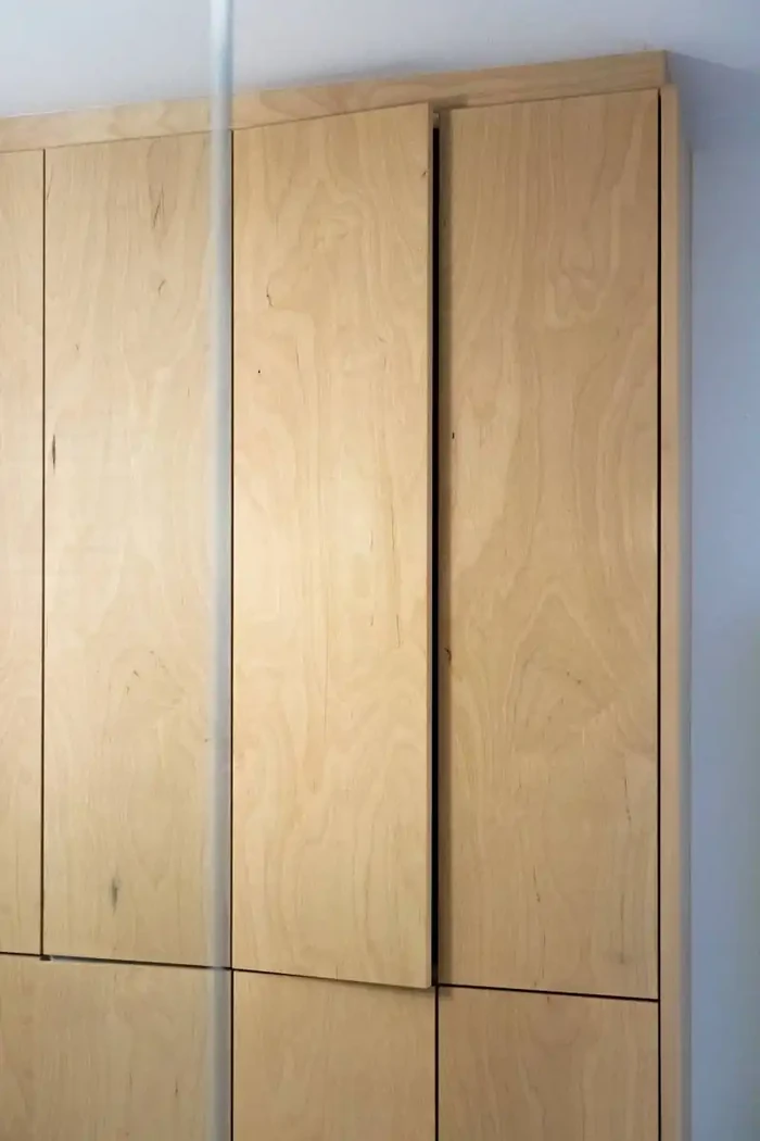 Ecorce blanche du bouleau